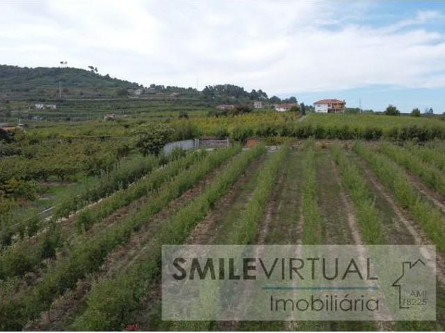 Granja 3 quarto, Lamego Lamego DS97121816