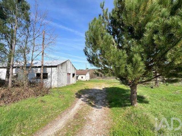 Granja 3 quarto, Mangualde Viseu DLS99608012