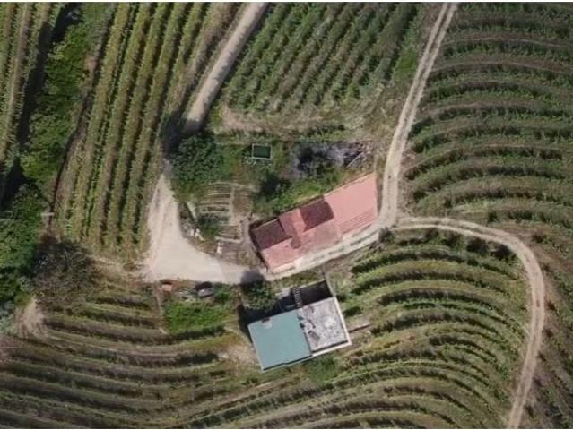 Granja 3 quarto, Santa Marta de Penaguião Santa Marta de Penaguião DLS102320590