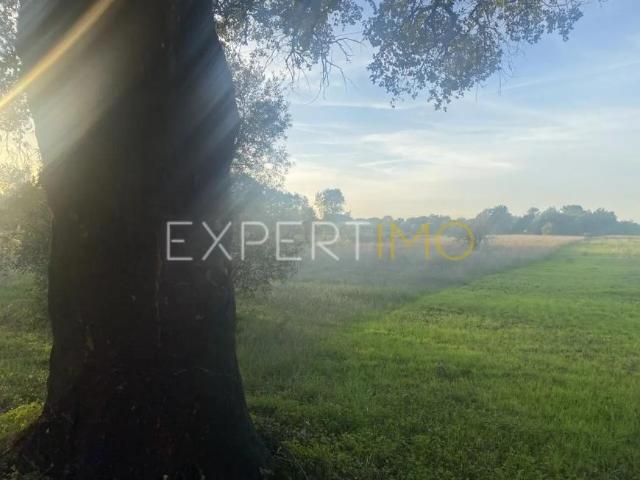 Granja 3 quarto, Vale de Santarém Santarém DS91598461