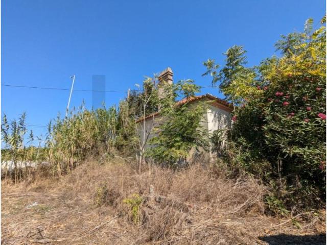 Granja 3 quarto, Santiago do Cacém Santiago do Cacém DLS95264699