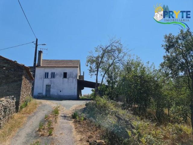 Granja 3 quarto, Sertã Sertã DLS102689238
