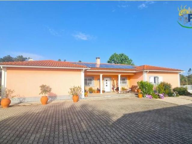Granja 3 quarto, Sertã Sertã DLS102722857