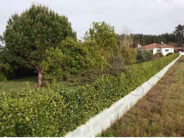 Granja 3 quarto, Porto de Mós Porto de Mós DLS97124672