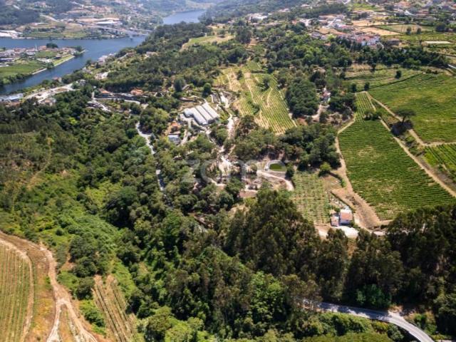 Granja 3 quarto, Penafiel Penafiel DS96961733