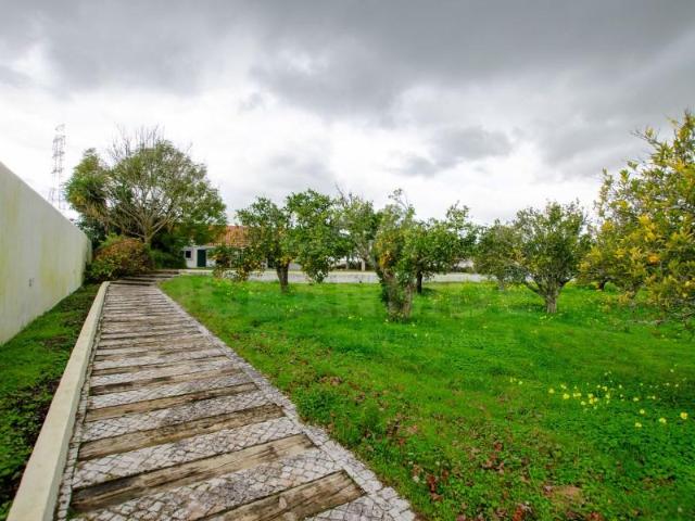 Granja 3 quarto, Vendas Novas Vendas Novas DLS98492702