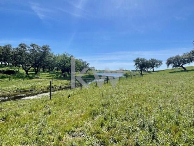 Granja 10 quarto, Montemor Montemor DS97119333