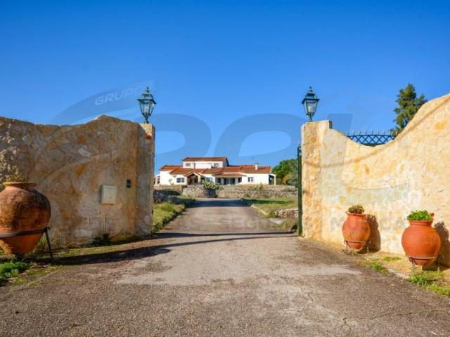 Granja 10 quarto, Abrantes Abrantes DS99566652