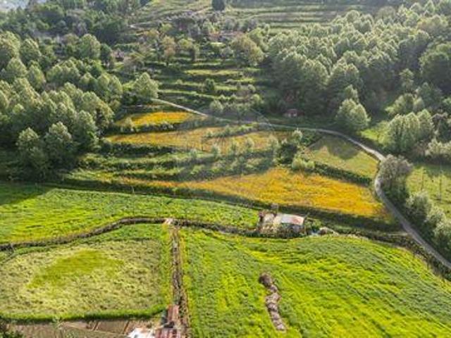 Granja 10 quarto, Celorico De Basto Braga DLS94577336
