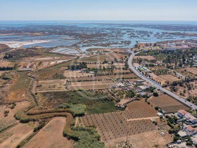 Granja 10 quarto, Faro Faro DLS102773722