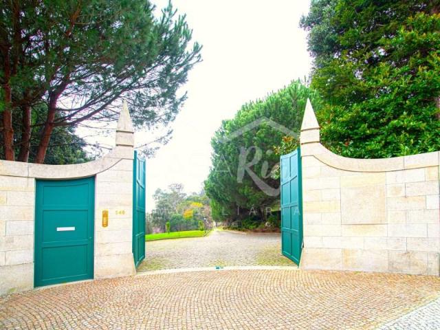 Granja 11 quarto, Oliveira de Azeméis Oliveira de Azeméis DLS100496910