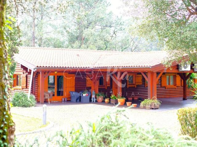 Granja 11 quarto, Oliveira de Azeméis Oliveira de Azeméis ELS100496910