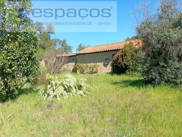 Granja 1 quarto, Castelo Branco Castelo Branco DLS96915391