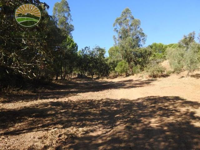 Granja 1 quarto, Grândola Grândola DLS94948105