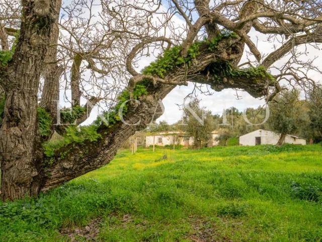 Granja 1 quarto, Montemor Montemor DS90286837