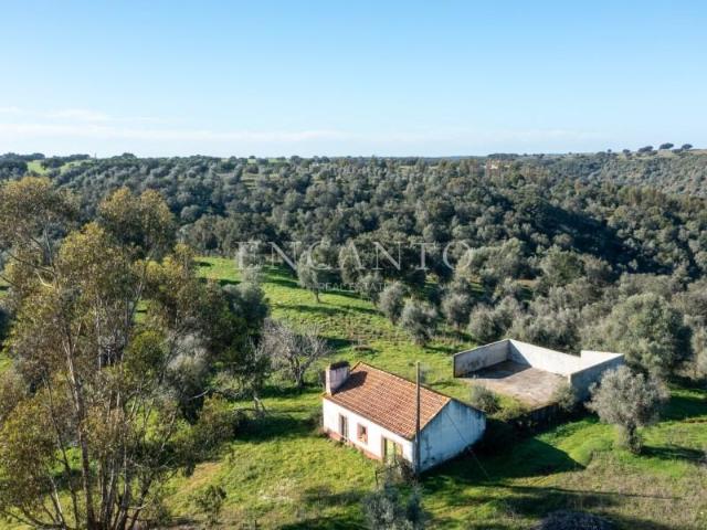 Granja 1 quarto, Montemor Montemor DS94088652