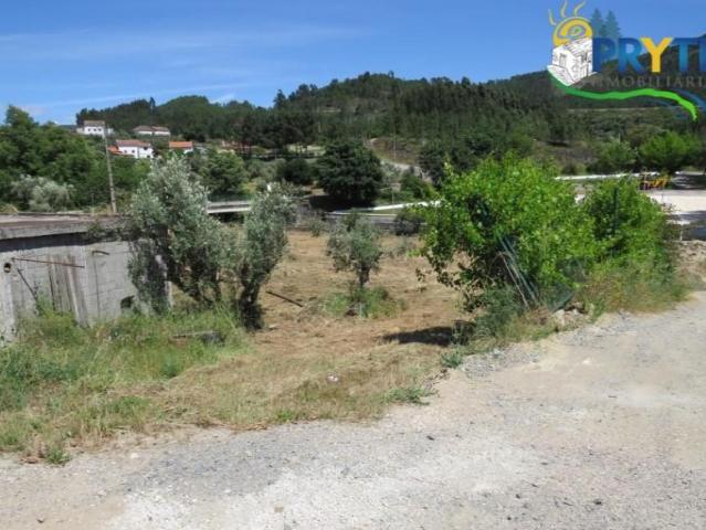 Granja 1 quarto, Sertã Sertã DS101582996