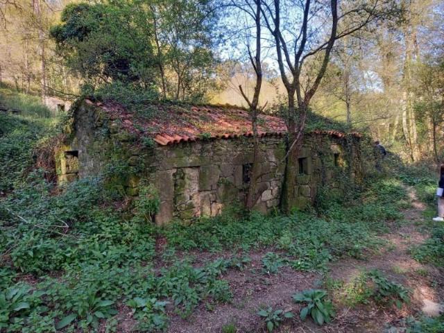 Granja 1 quarto, Paredes de Coura Paredes de Coura DS99639226