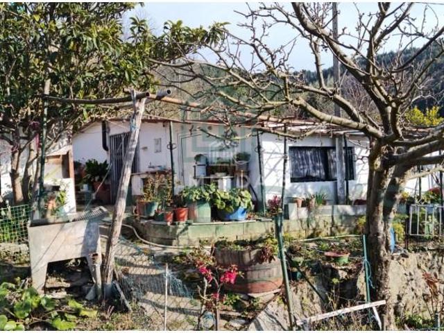 Granja 1 quarto, Vila Pouca de Aguiar Vila Pouca de Aguiar DS97192178