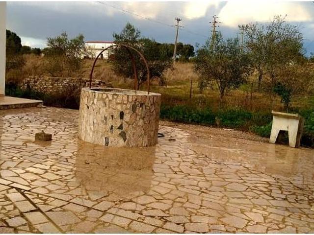 Granja 2 quarto, Estremoz Estremoz DS97124589