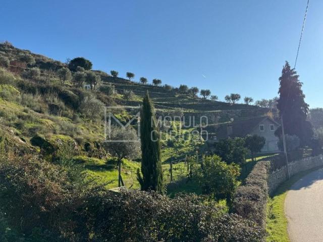 Granja 2 quarto, Lamego Lamego DLS95901953