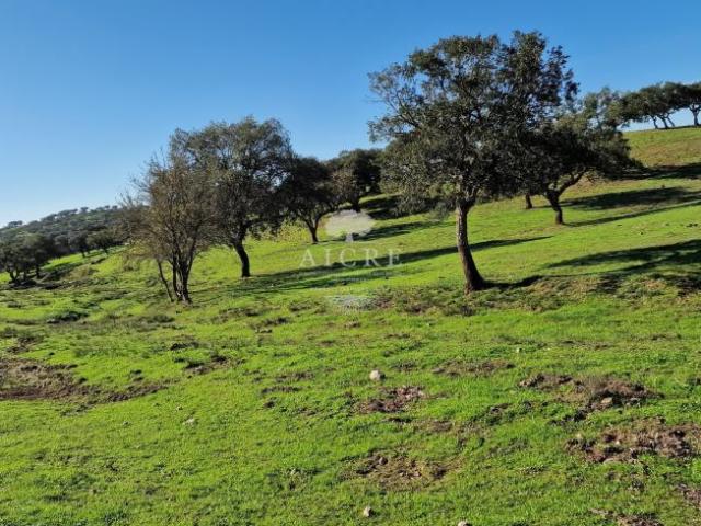 Granja 2 quarto, Reguengos de Monsaraz Évora DS73785422