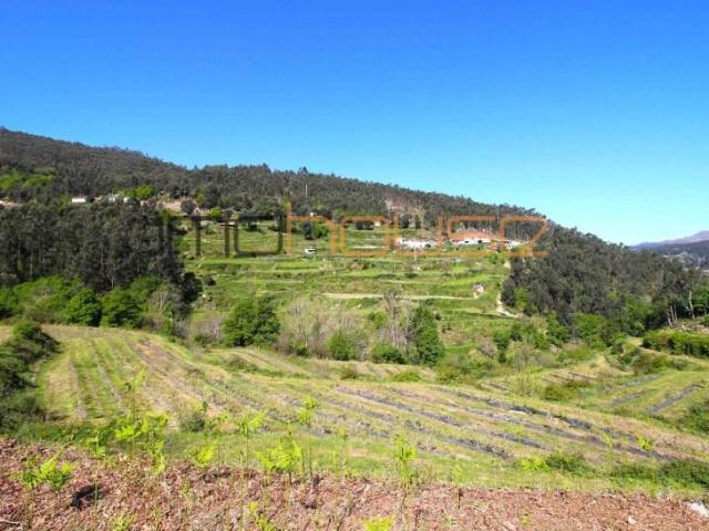 Granja 7 quarto, Cinfães Cinfães DLS99729566