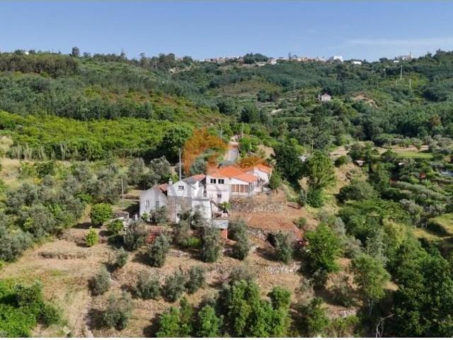 Granja 7 quarto, Oliveira do Hospital Oliveira do Hospital DS102558594