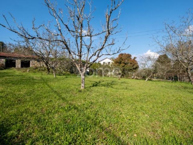 Granja 7 quarto, Paredes Paredes DS89401067