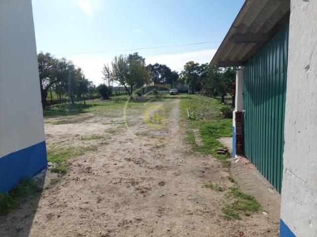 Granja 4 quarto, Alpiarça Alpiarça DLS97118309