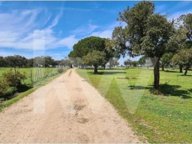 Granja 4 quarto, Benavente Benavente DLS102676556