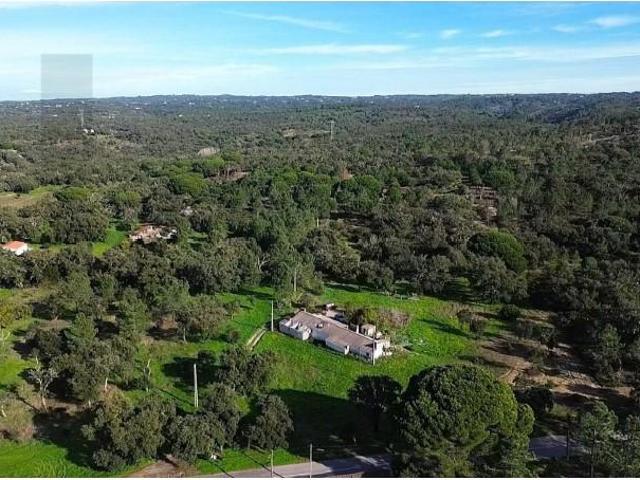 Granja 4 quarto, Grândola Grândola DS97938984
