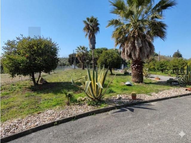 Granja 4 quarto, Santarém Santarém DLS98397946