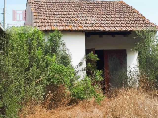 Granja 4 quarto, Santarém Santarém DS90670349
