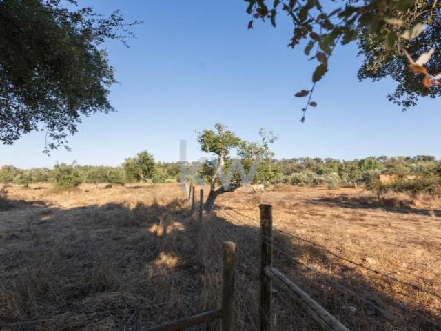 Granja 4 quarto, Santiago do Cacém Santiago do Cacém DS101964743