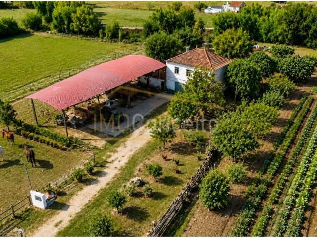 Granja 4 quarto, Torres Novas Torres Novas DS101309821
