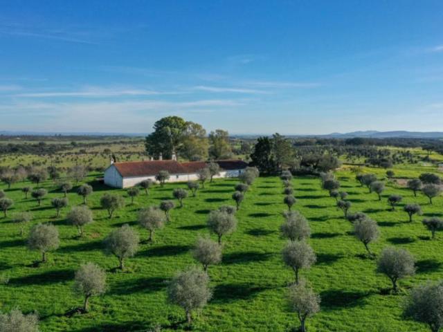 Granja 5 quarto, Alandroal Alandroal DLS99566413