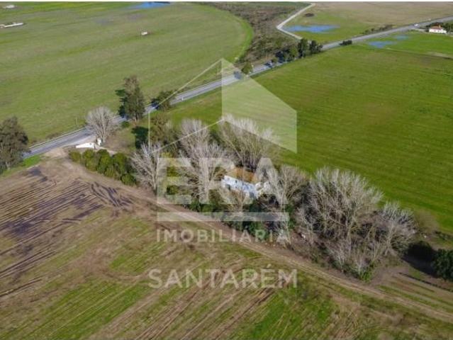 Granja 5 quarto, Almeirim Almeirim DS101075242