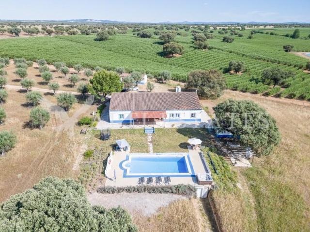 Granja 5 quarto, Avis Avis DLS88960312