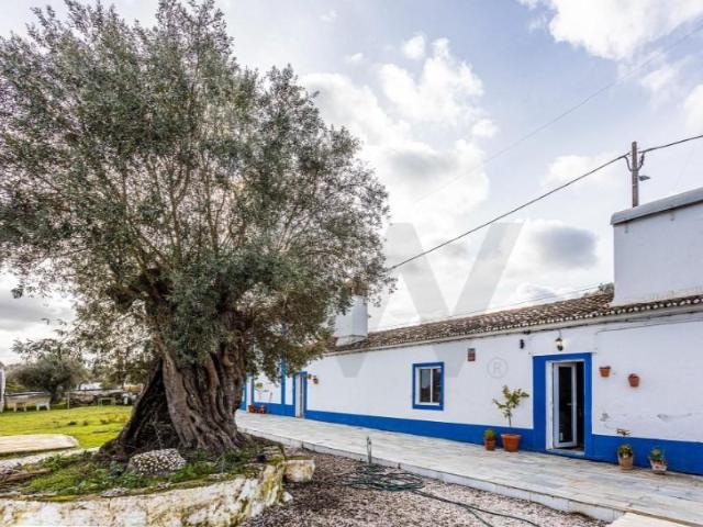Granja 5 quarto, Évora Évora DS98222045