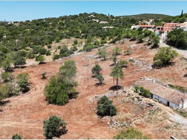 Granja 5 quarto, São Brás de Alportel São Brás de Alportel DS92223597