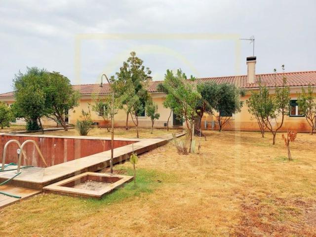 Granja 6 quarto, Estremoz Estremoz DS97123406