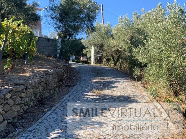 Granja 6 quarto, Lamego Lamego DLS97119827
