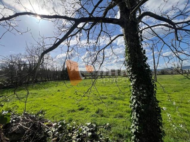 Granja 8 quarto, Braga Braga DLS100256826