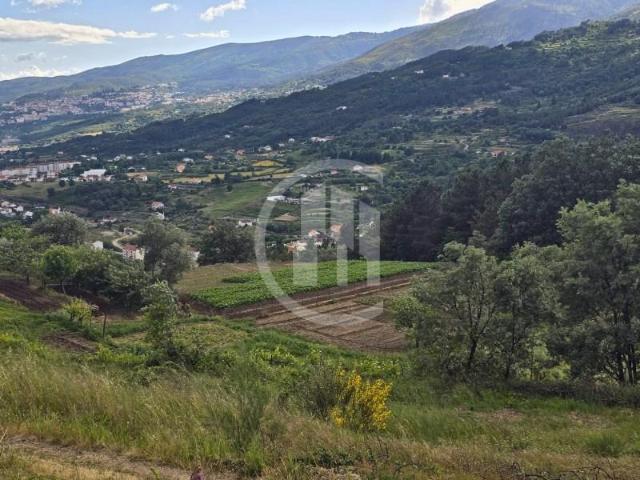 Granja Covilhã Covilhã DLS102527473