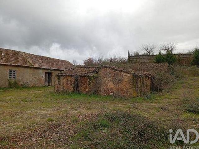 Granja Covilha Castelo Branco DLS98337944