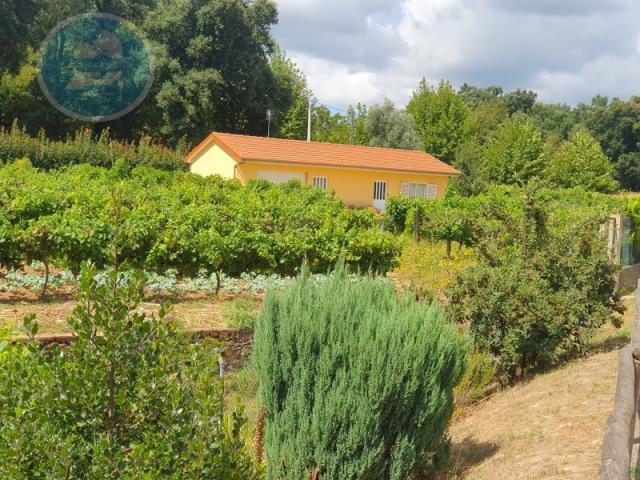 Granja Cabeceiras de Basto Cabeceiras de Basto DLS83053381