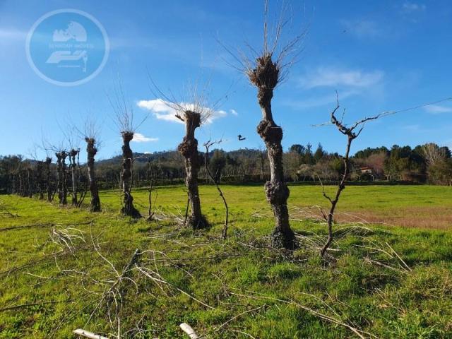 Granja Cabeceiras de Basto Cabeceiras de Basto DS91590596