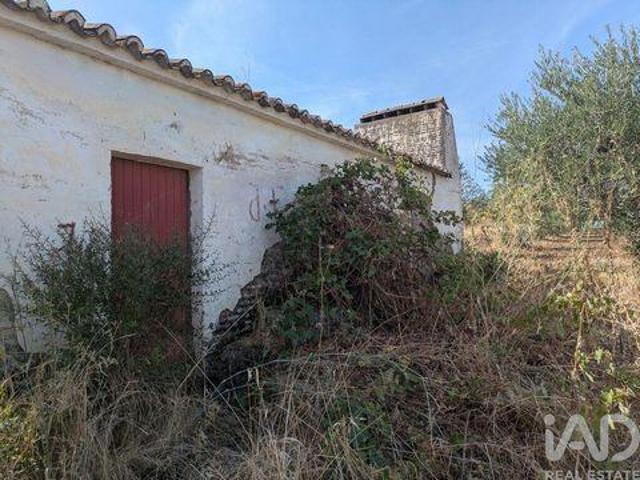 Granja Campo Maior Portalegre DLS100057654