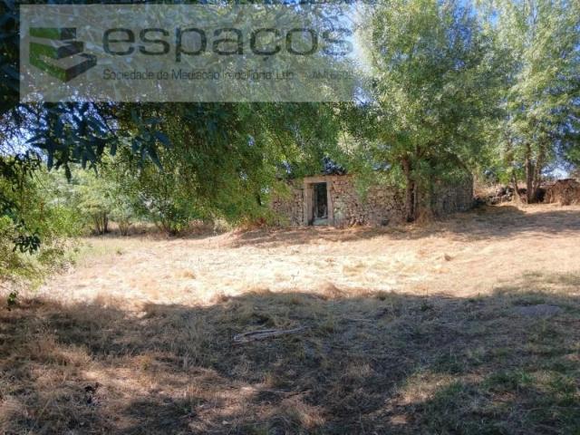 Granja Castelo Branco Castelo Branco DLS92578632